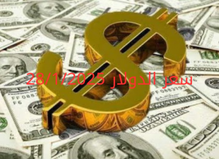 سعر الدولار والعملات في البنك المركزي وجميع البنوك المصرية 28-1-2025
